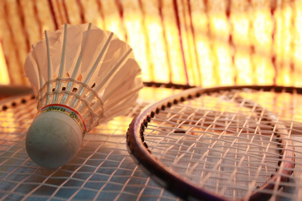 badminton-166405_1280.jpg