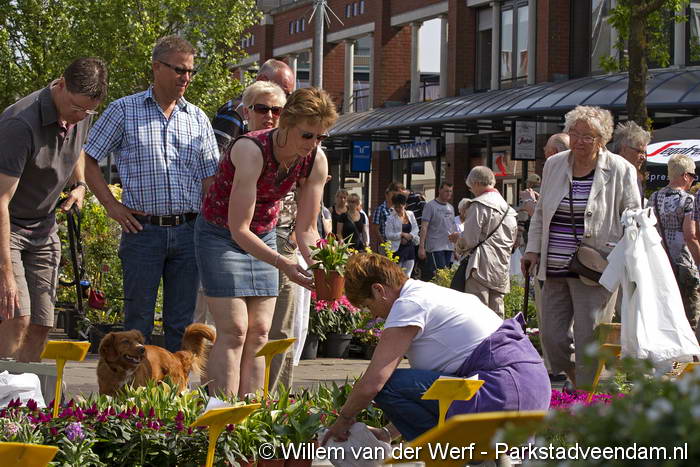 20110507_Bloemenmarkt_MG_6898.JPG