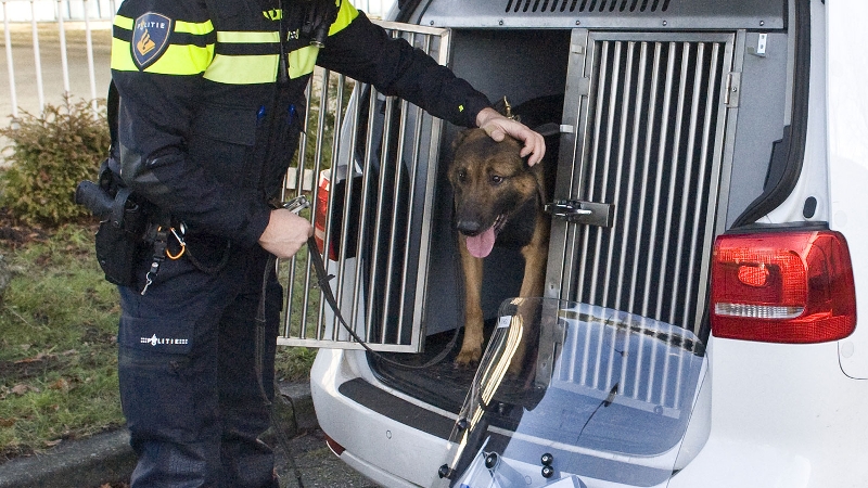 agent-laat-politiehond-uit-auto.jpg