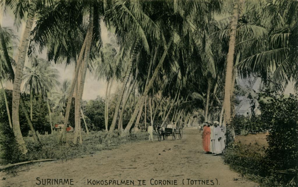 Suriname 03.jpg