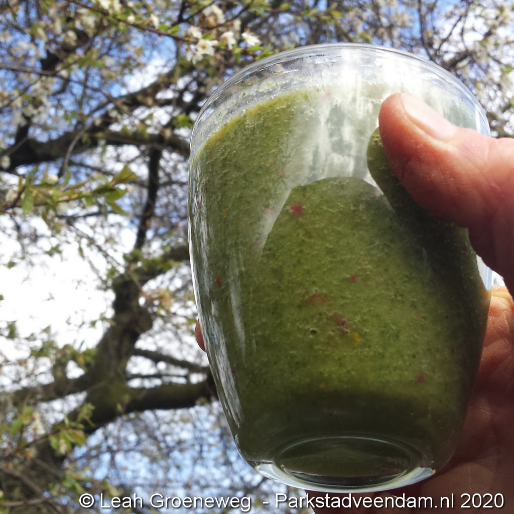 groene smoothie (2)B.jpg