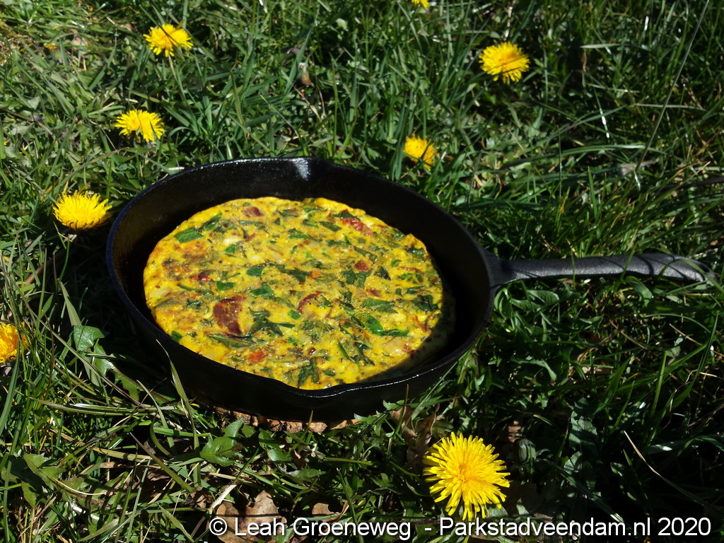 paardenbloemomelet  (2).jpg